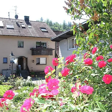 Apartment Baden Baden Haus Am Ibachweg Exterior photo